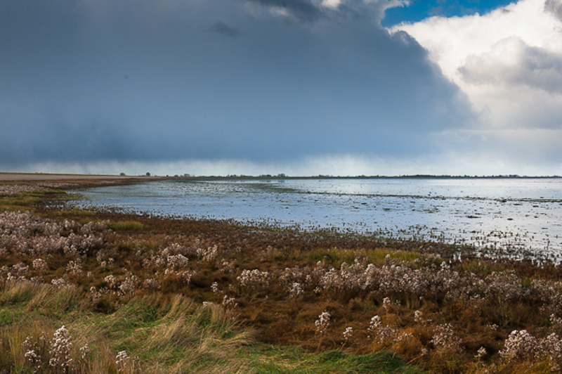 Balgzand Den Helder